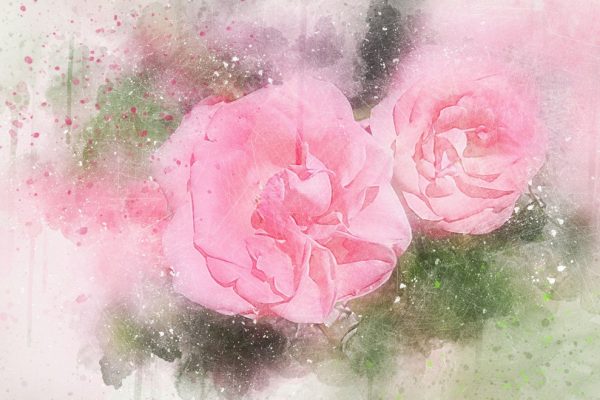 Malovaný obraz - růžové květy