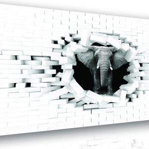 Moderní obraz do obývacího pokoje - slon z kamene