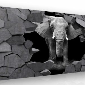 Moderní obraz na zeď - slon v kameni