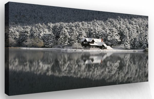 Obraz - dům v zimě