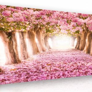 Obraz na plátně - kvetoucí stromy