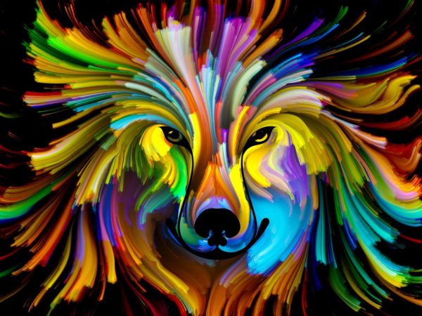 Obraz na zeď - barevné zvíře