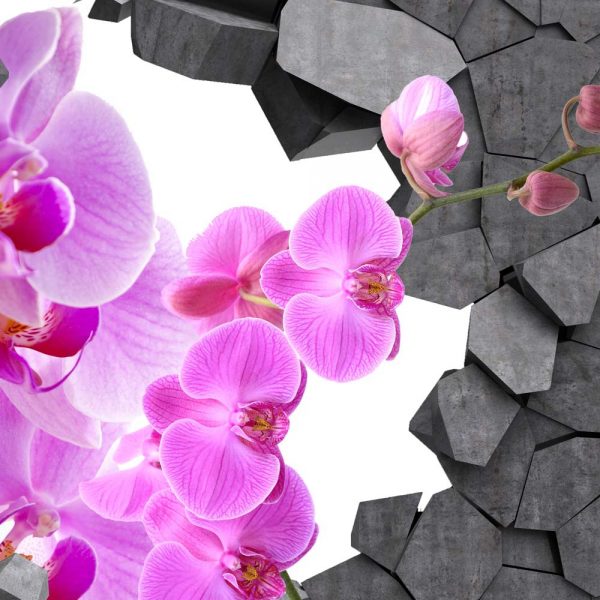 Obraz orchidej ve zdi - Image 4