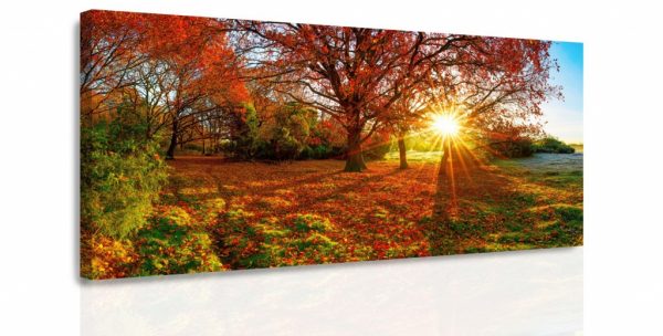 Obraz - Podzimní slunce 140x70 cm