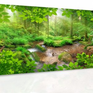 Obraz - Pohled do lesa 140x70 cm