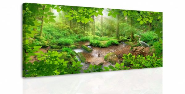 Obraz - Pohled do lesa 140x70 cm