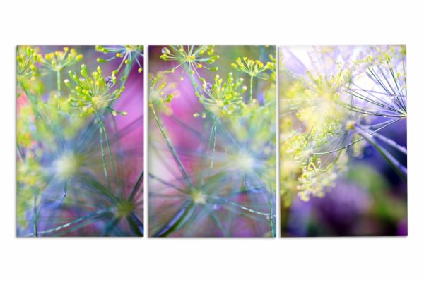Obraz ranní rosa I - Image 3