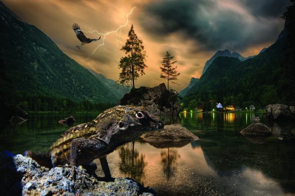 Obraz - Řeka se zvířaty - Image 4