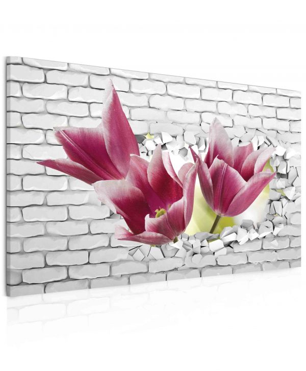 Obraz tulipány ve zdi