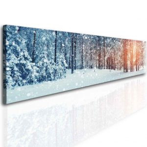 Panoramatický les v zimě 1