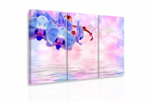 Vícedílný obraz - Modrá orchidej