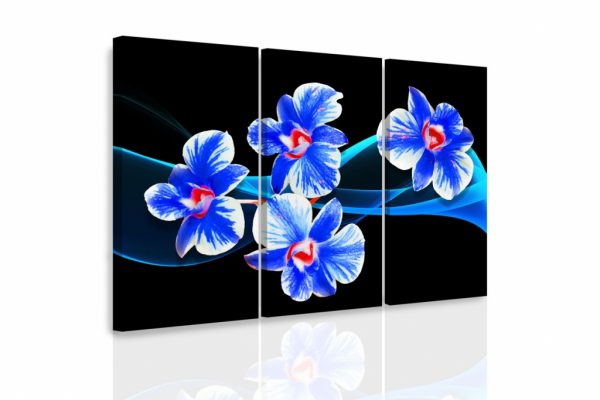 Vícedílný obraz - Orchidej na vlnách