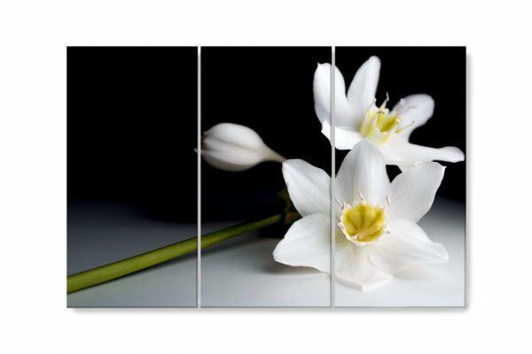 Vícedílný obraz - Orchidej ve tmě - Image 4
