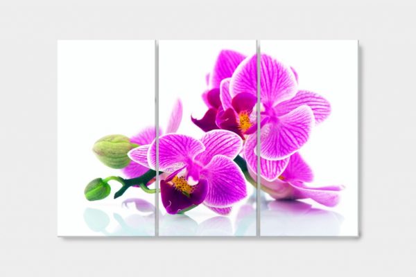 Vícedílný obraz - Orchidej v prostoru - Image 4
