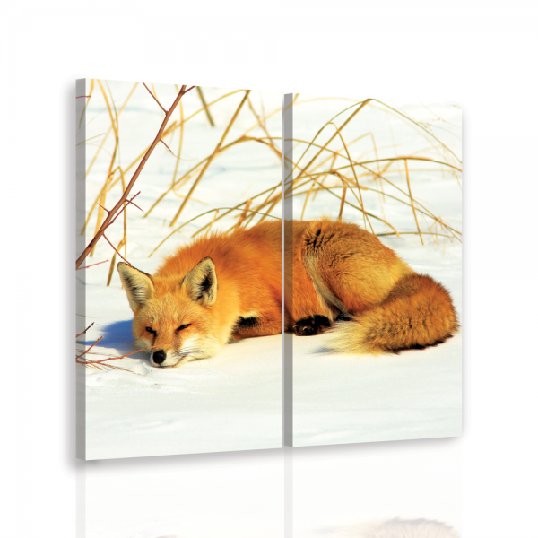 Vícedílný obraz - Spící liška