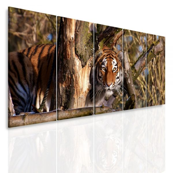 Vícedílný obraz - Tygr za stromem