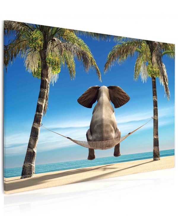 Vtipný slon na pláži