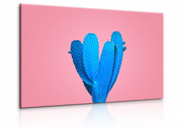 Obraz modrý kaktus s růžovým pozadí