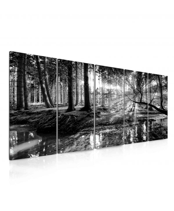 Obraz černobílá pohoda lesa