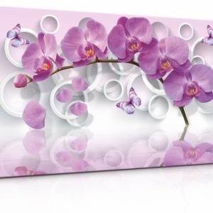 Obraz Růžová motýlí orchidej
