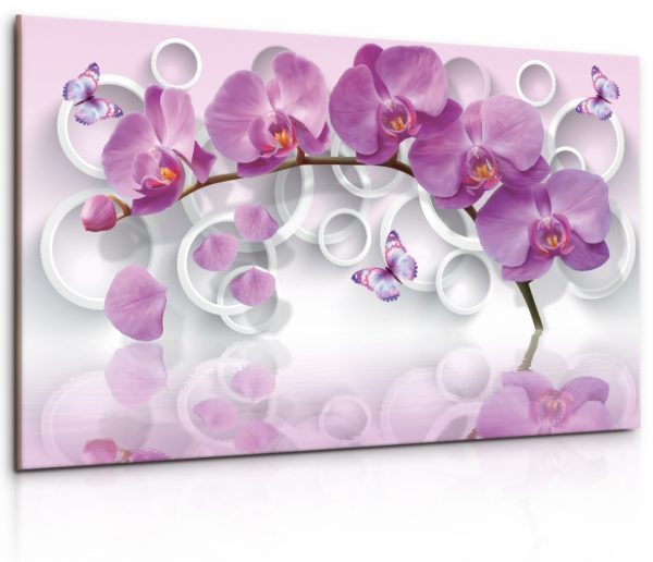 Obraz Růžová motýlí orchidej