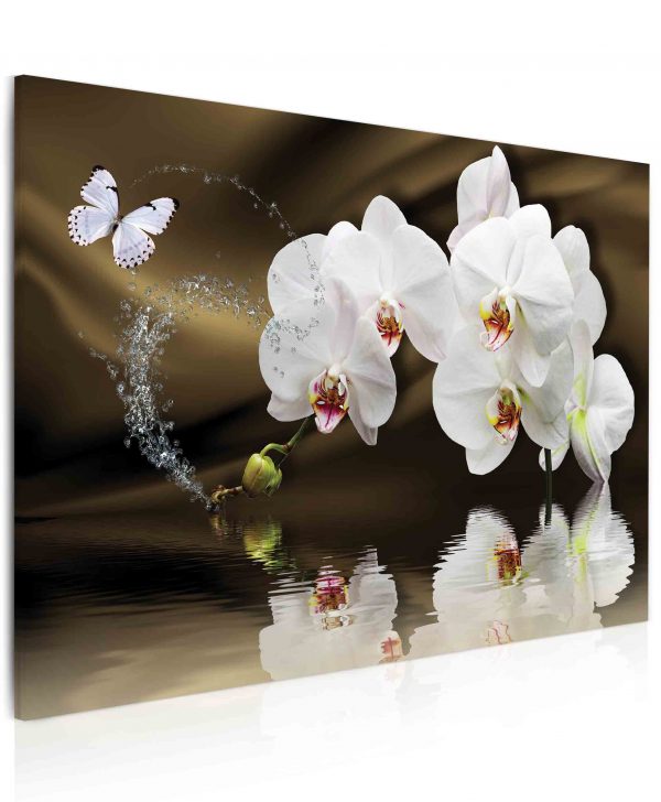 Obraz Motýlí orchidej nad hladinou