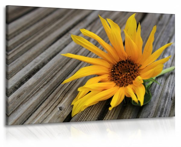 Obraz slunečnice - dřevo