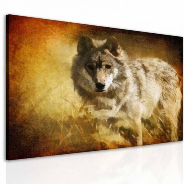 Obraz snový vlk 100x80 cm