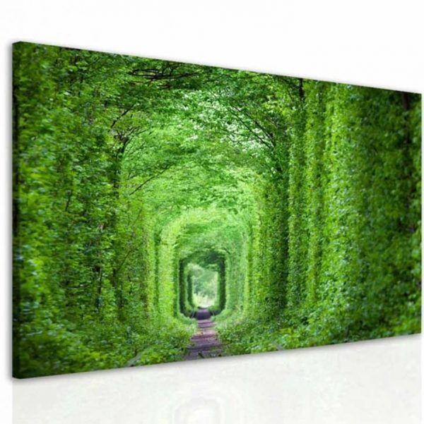 Obraz zelený tunel