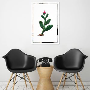 Obraz Kaktus na zrkadle Mirrora 65 - 60x40 cm