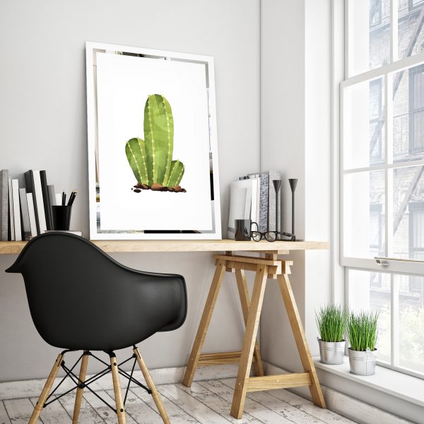 Obraz Kaktus na zrkadle Mirrora 68 - 60x40 cm