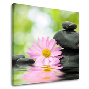 Obraz na stenu FENG SHUI FS009E12