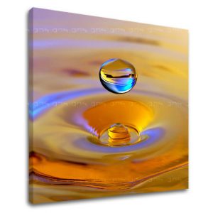 Obraz na stenu FENG SHUI FS016E12