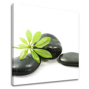 Obraz na stenu FENG SHUI FS041E12