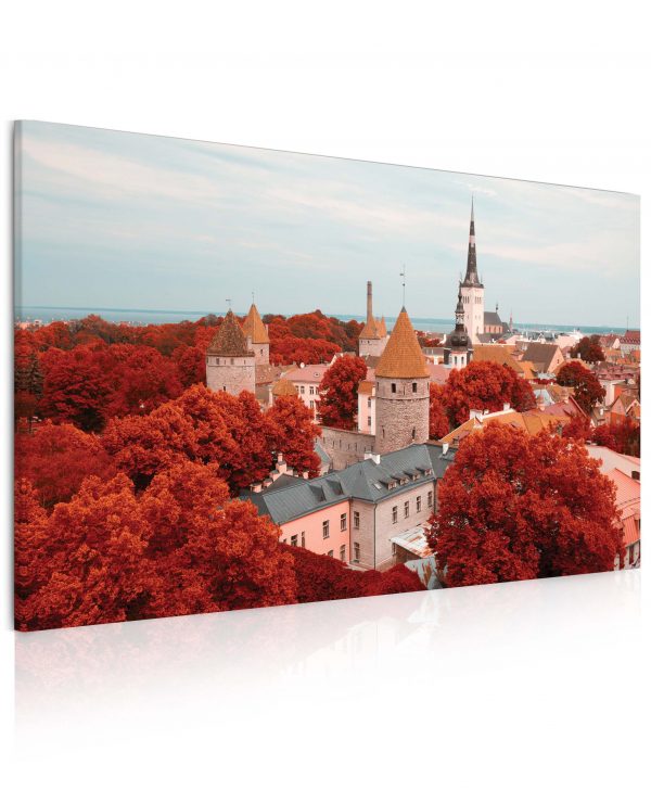 Obraz Město Tallinn