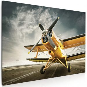 Obraz Žluté letadlo