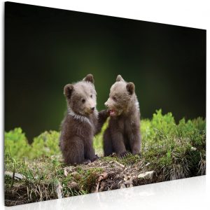 Obraz medvíďata v lese