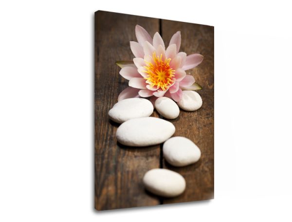Obraz na plátne Zľava 60 % FENG SHUI_059-11 60x90 cm