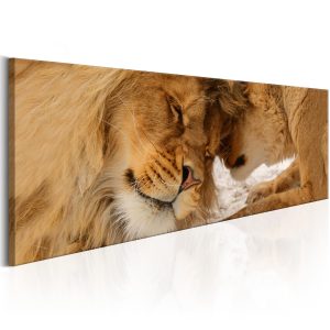Lev a lvíče 90x30 cm