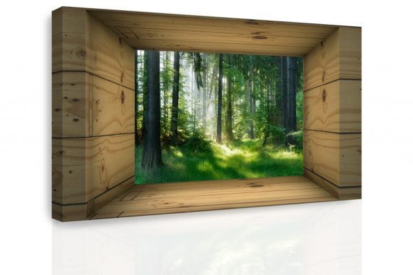 Obraz - Okno do lesa