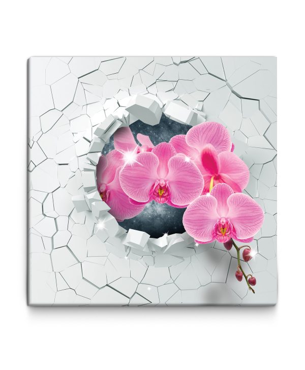 Obraz - orchidej - Image 2