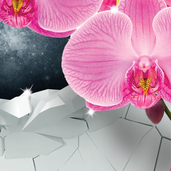 Obraz - orchidej - Image 4