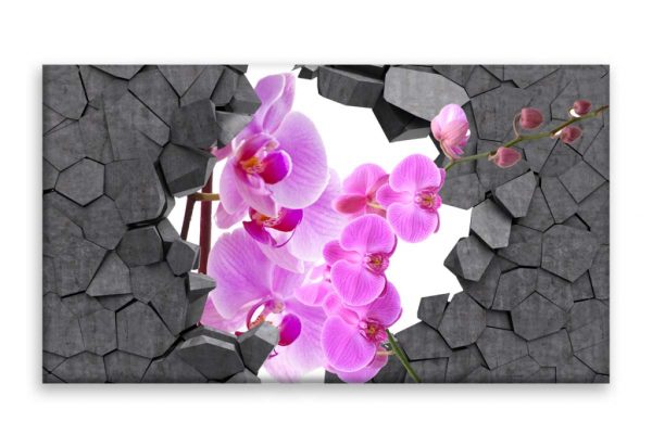 Obraz orchidej ve zdi - Image 3