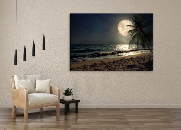 Obraz Pláž s palmou při měsíci - Image 2