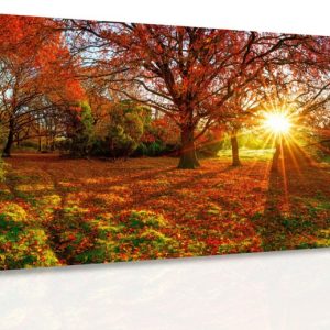 Obraz - Podzimní slunce 140x70 cm