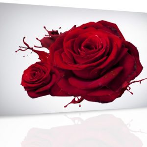 Obraz - Růže