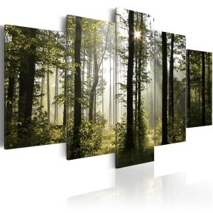 Pětidílné obrazy - lesní spánek