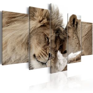 Pětidílný obraz - láska lvů