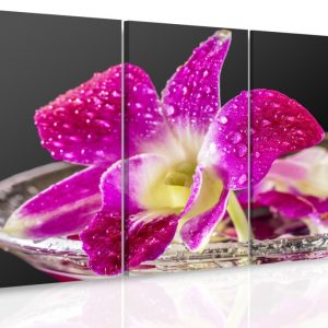Vícedílný obraz - Fialová orchidej