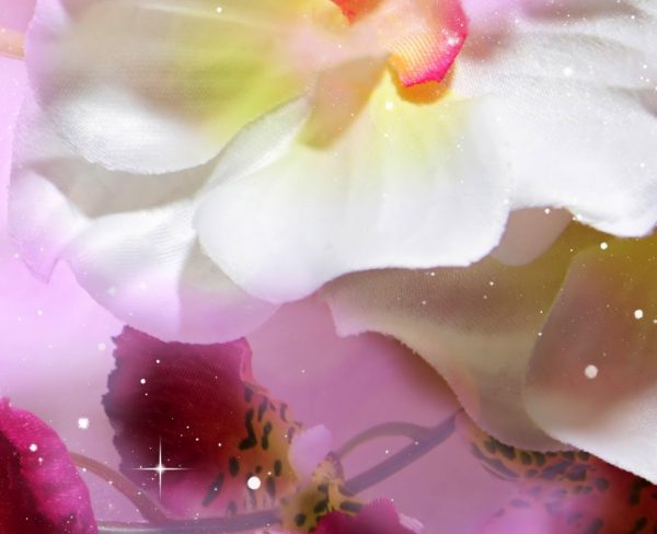 Vícedílný obraz - Orchidej fantazie - Image 3